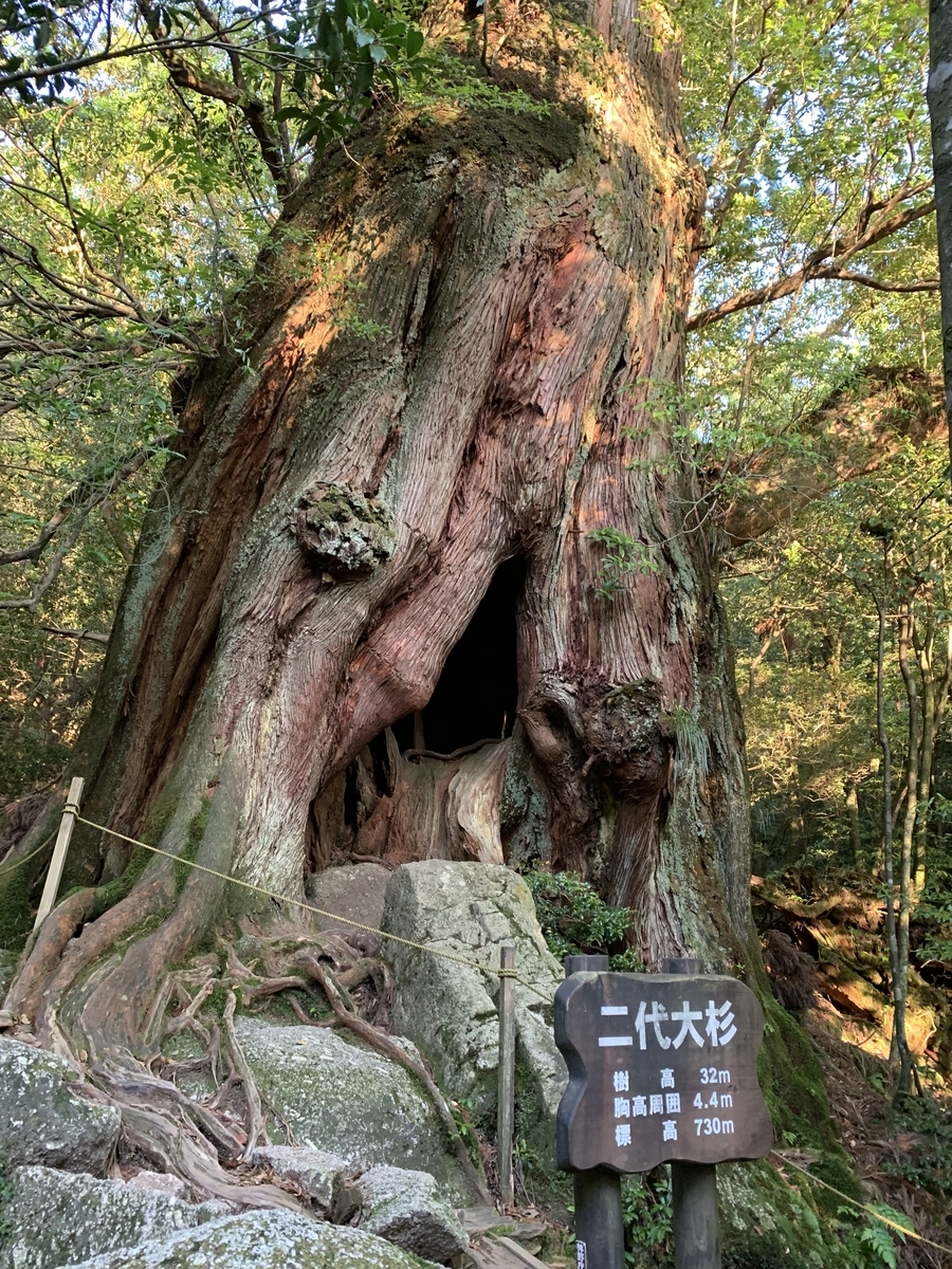 f:id:yamatobokunoblues:20190618125804j:plain