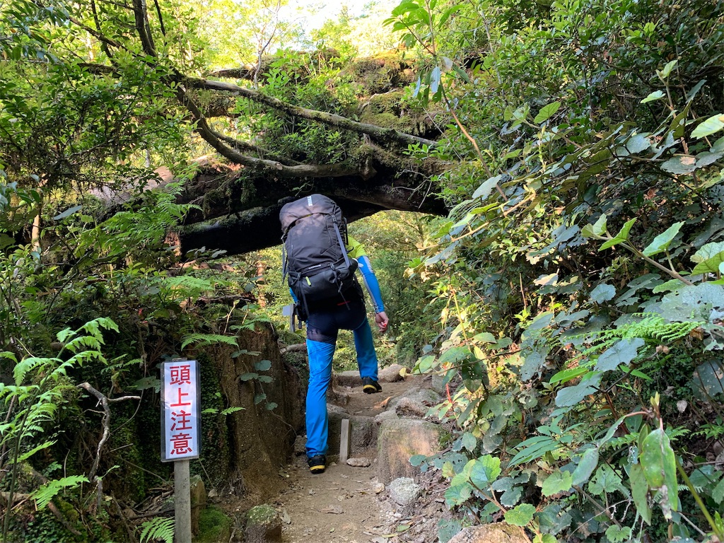 f:id:yamatobokunoblues:20190619063031j:image