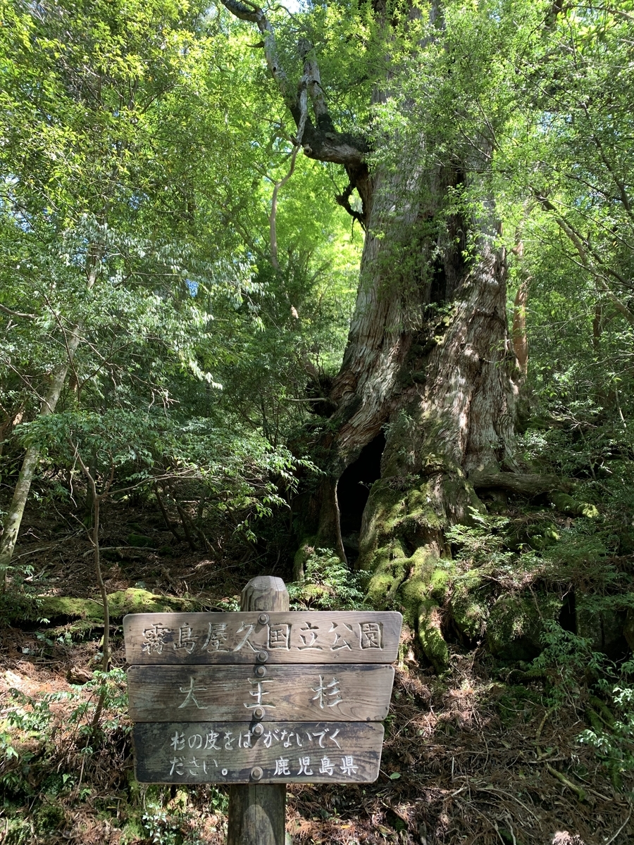 f:id:yamatobokunoblues:20190619231853j:plain