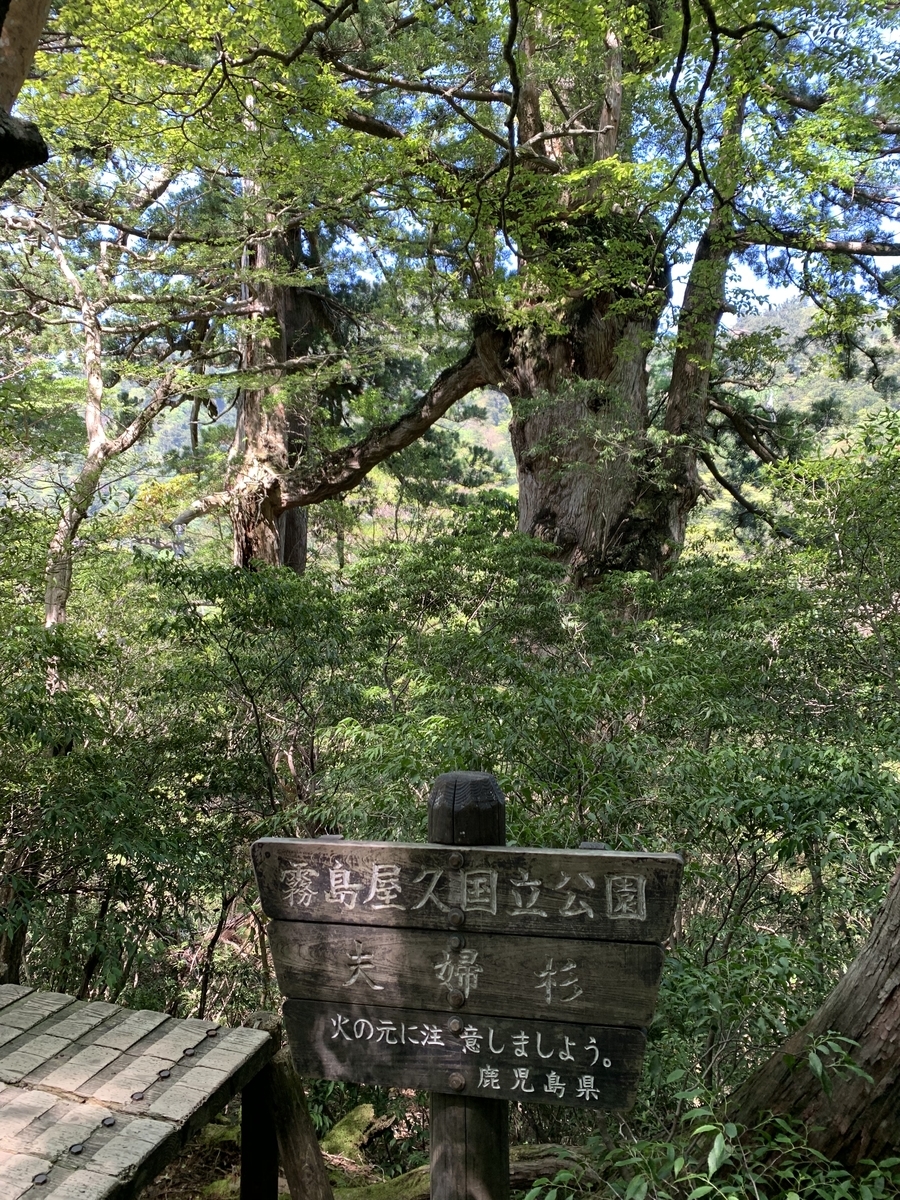f:id:yamatobokunoblues:20190619231956j:plain