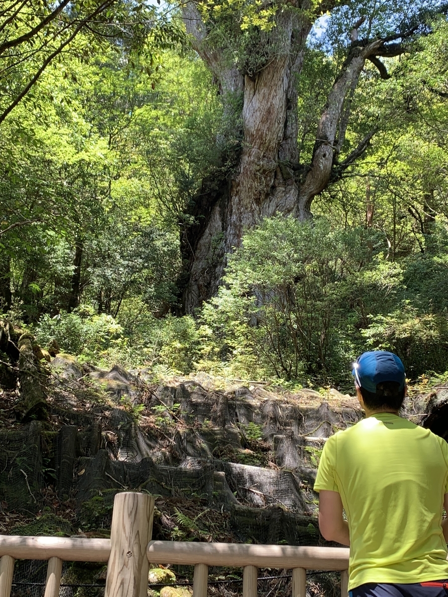 f:id:yamatobokunoblues:20190619232417j:plain