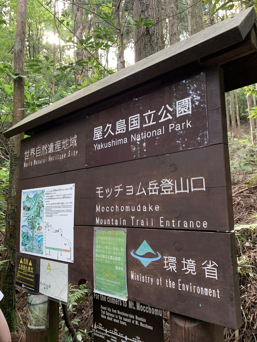 f:id:yamatobokunoblues:20190620180615j:plain