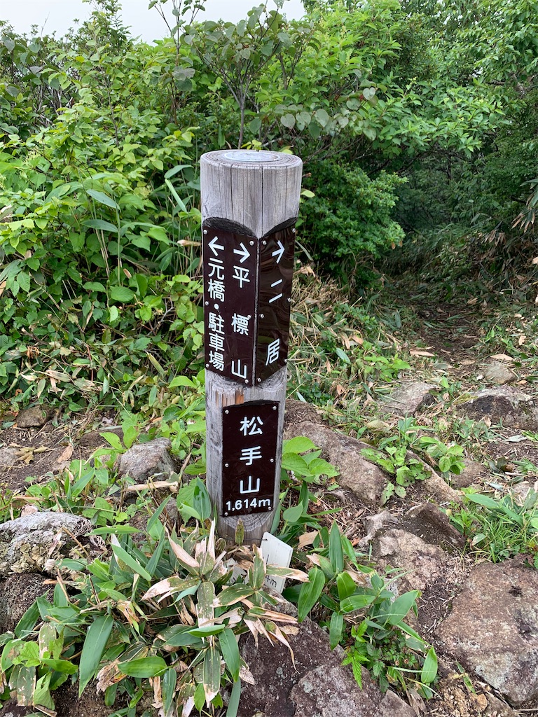 f:id:yamatobokunoblues:20190720002017j:image