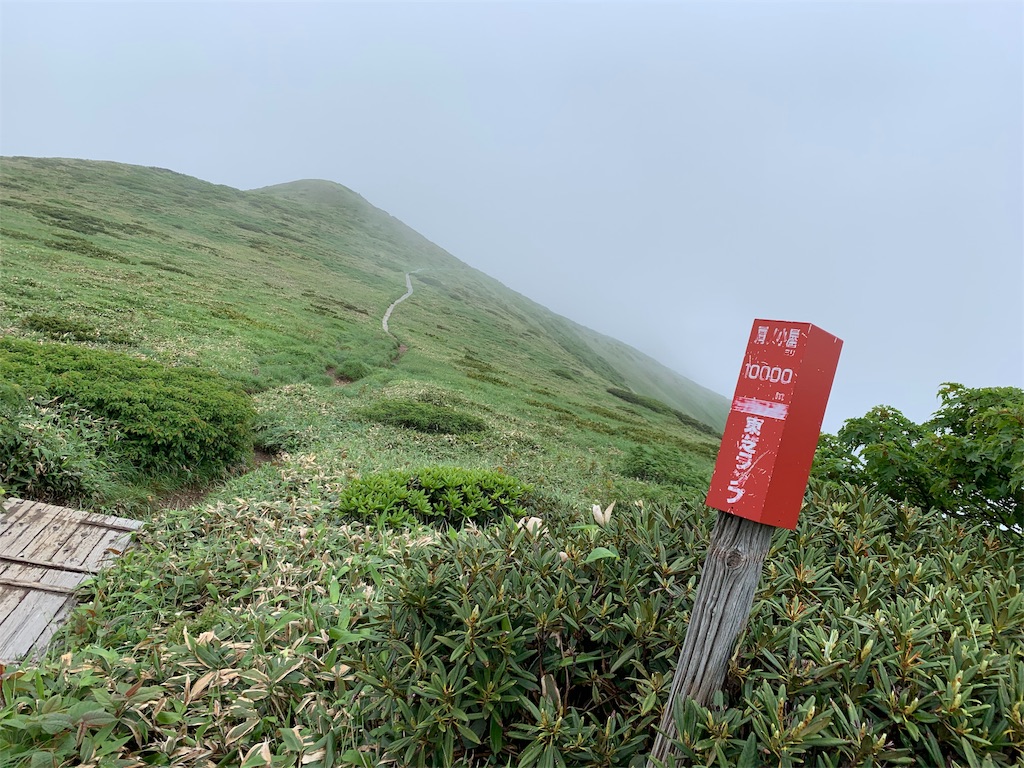f:id:yamatobokunoblues:20190730081602j:image