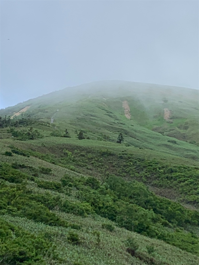 f:id:yamatobokunoblues:20190731080352j:image