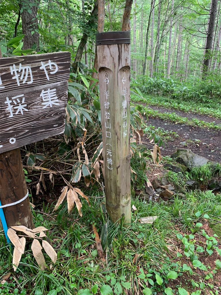 f:id:yamatobokunoblues:20190731080559j:image