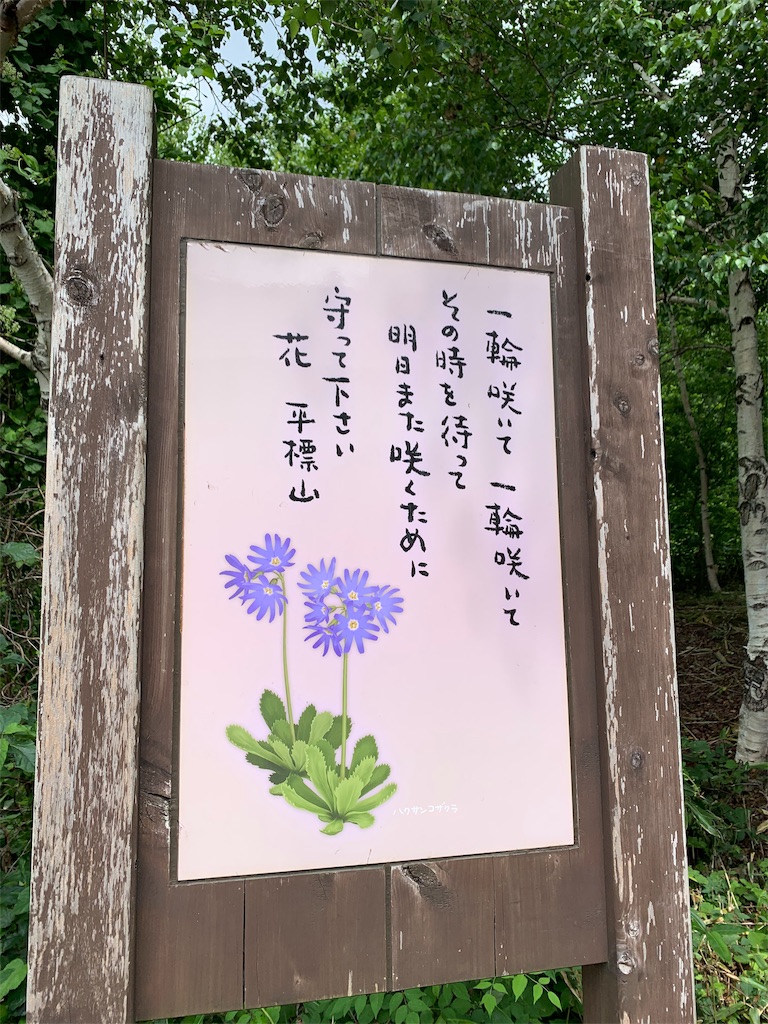 f:id:yamatobokunoblues:20190731080731j:image