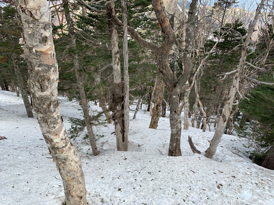 f:id:yamatobokunoblues:20190807081214j:plain