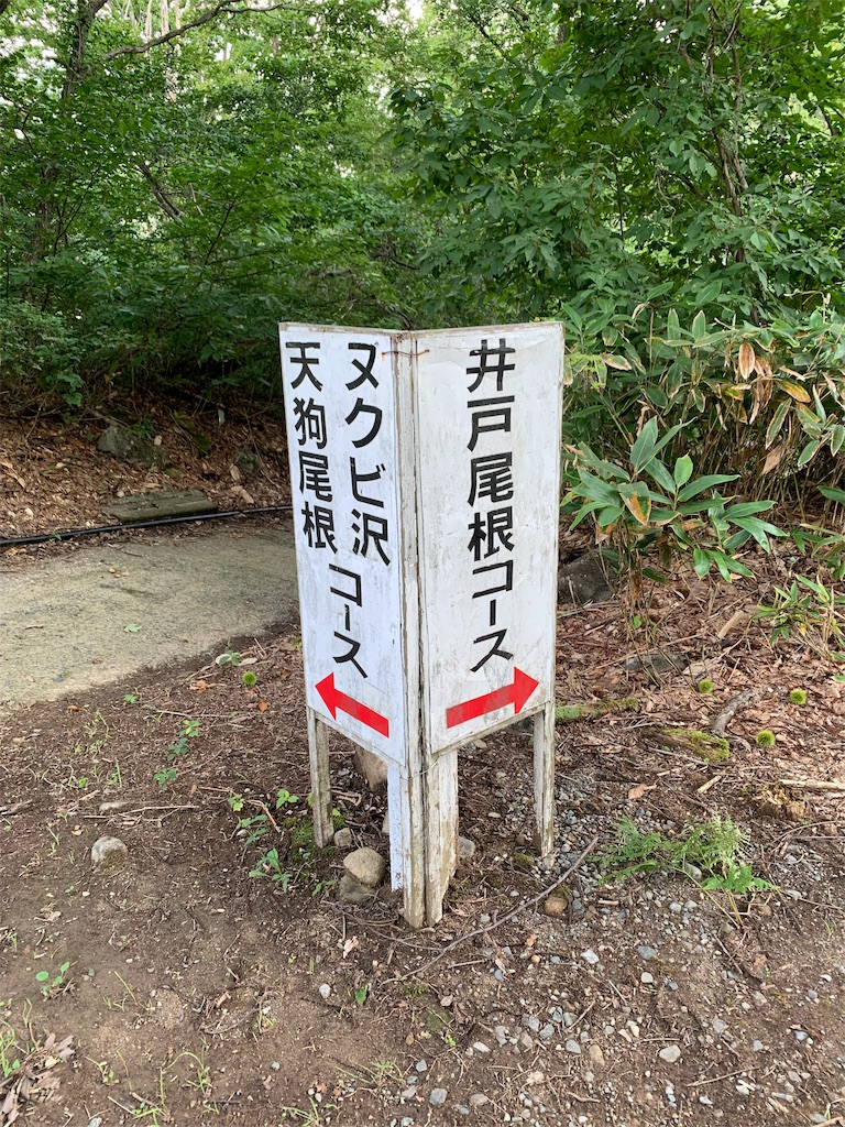 f:id:yamatobokunoblues:20190828175416j:image
