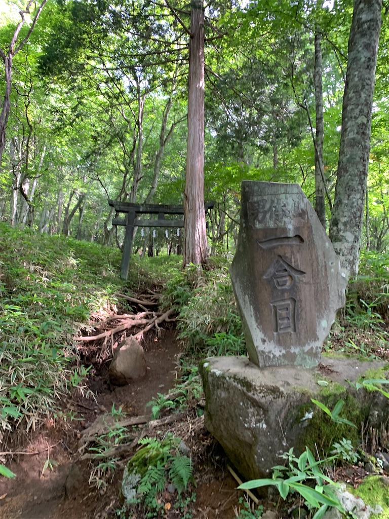f:id:yamatobokunoblues:20190903225523j:image