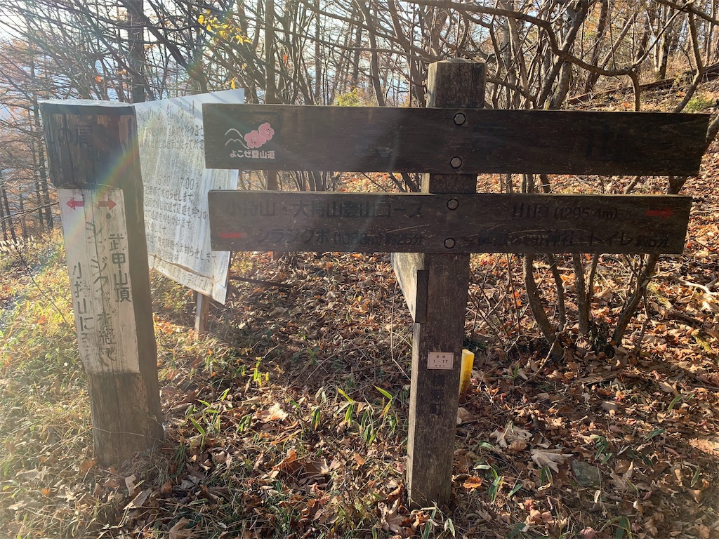 f:id:yamatobokunoblues:20191120081000j:image