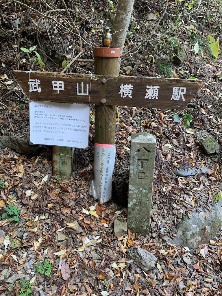 f:id:yamatobokunoblues:20191120081009j:image