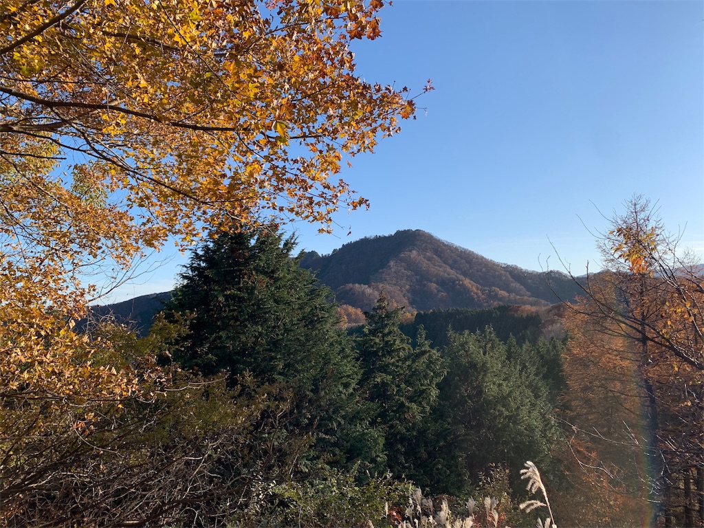f:id:yamatobokunoblues:20191120081012j:image