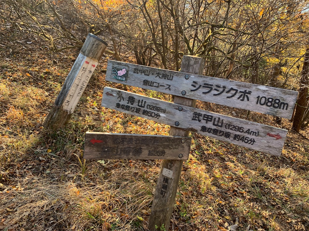 f:id:yamatobokunoblues:20191120124821j:image