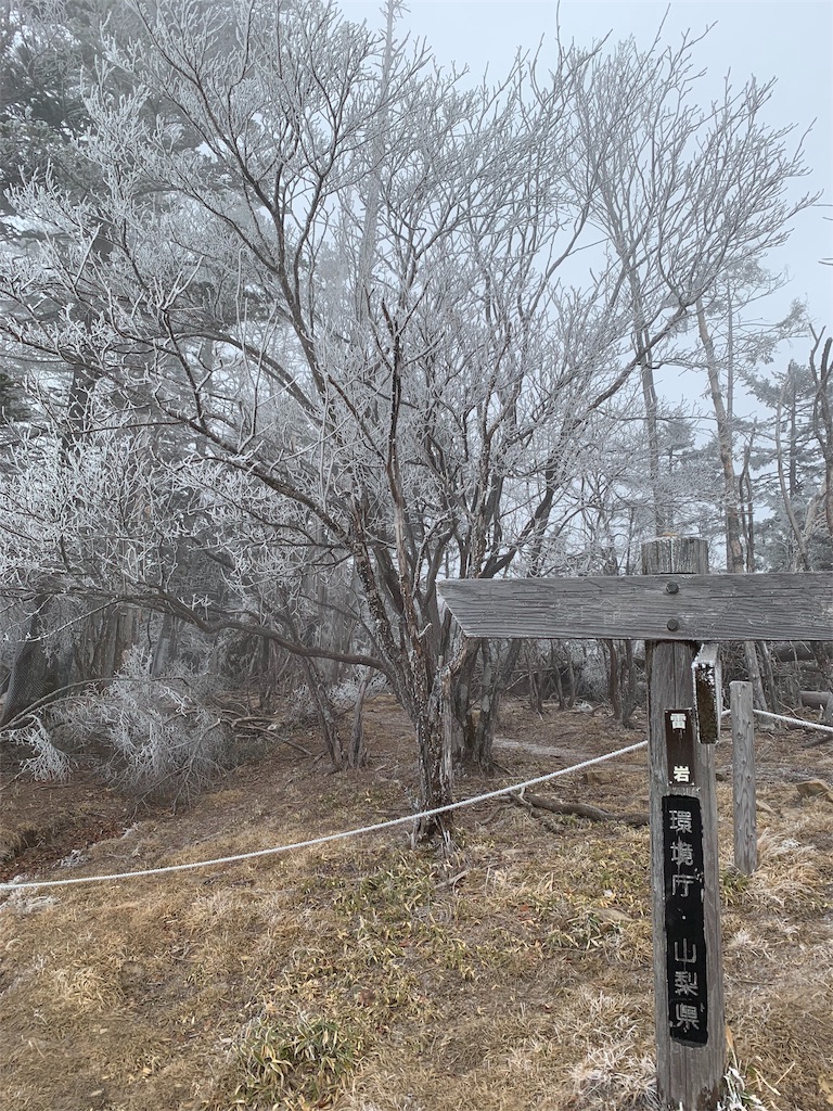 f:id:yamatobokunoblues:20191214070749j:image