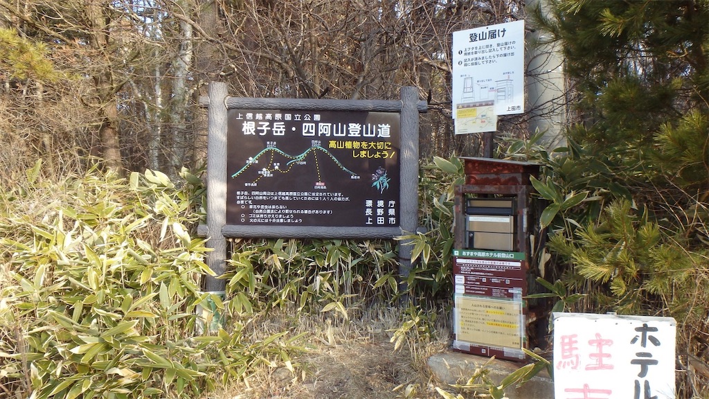 f:id:yamatobokunoblues:20200315220121j:image