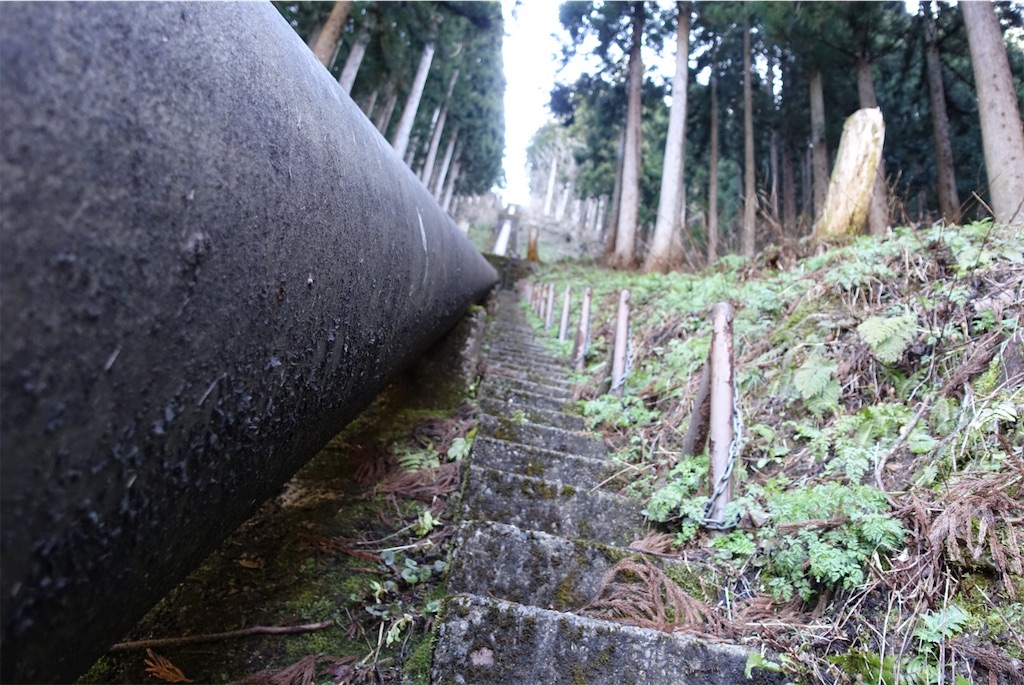 f:id:yamatokei:20190416064252j:image f:id:yamatokei:20190416064252j:image