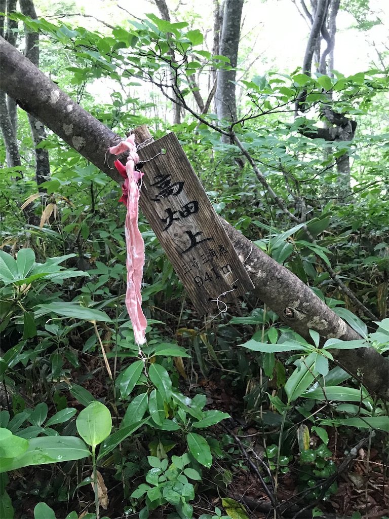 f:id:yamatokei:20190626211336j:image f:id:yamatokei:20190626211336j:image