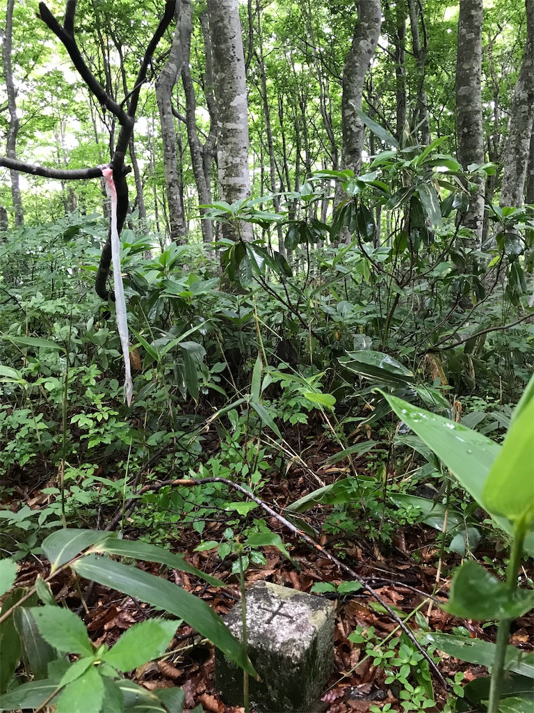 f:id:yamatokei:20190626211359j:image f:id:yamatokei:20190626211359j:image