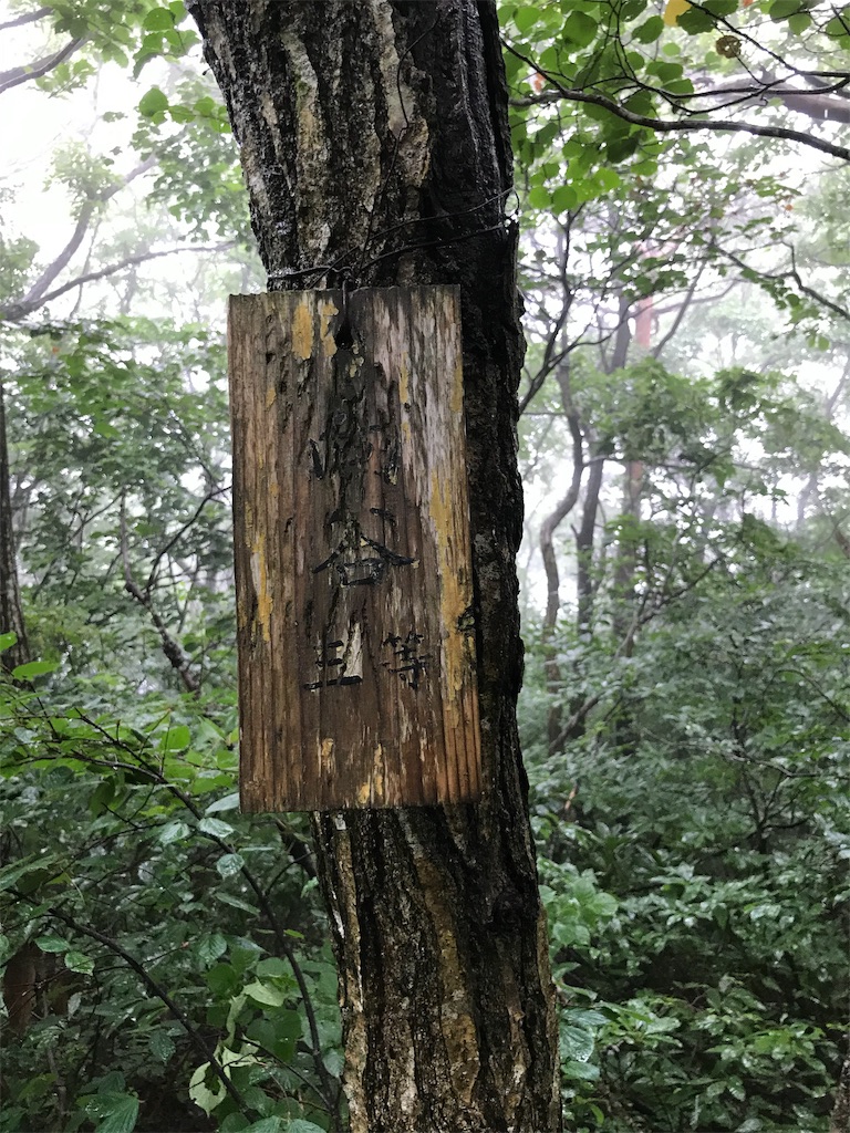 f:id:yamatokei:20190703214145j:image f:id:yamatokei:20190703214145j:image