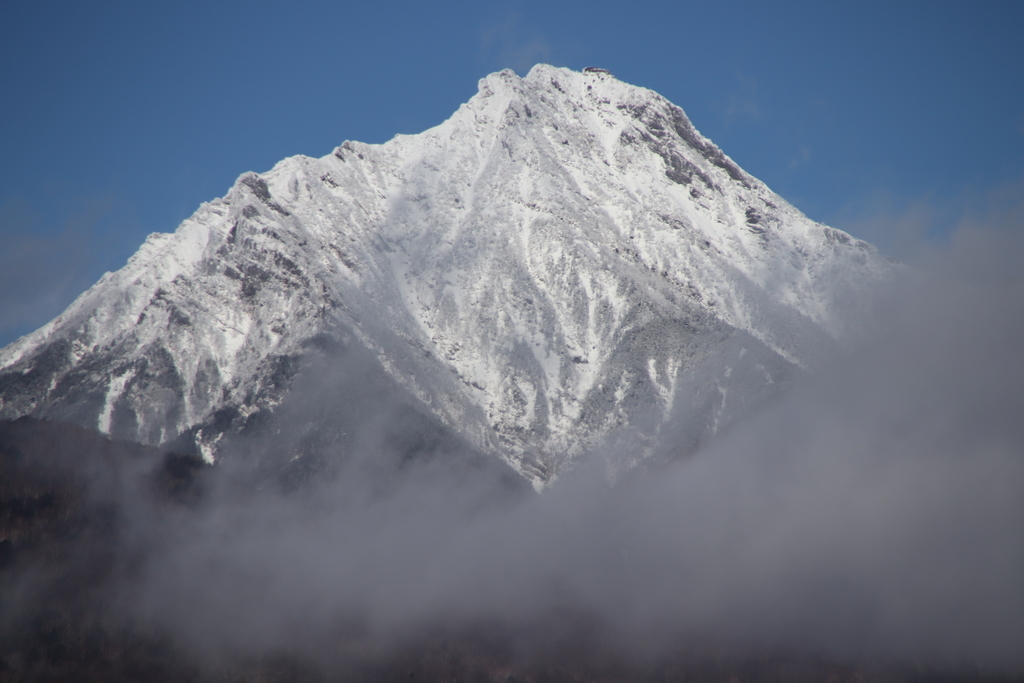 f:id:yamatori0422:20181226201644j:plain