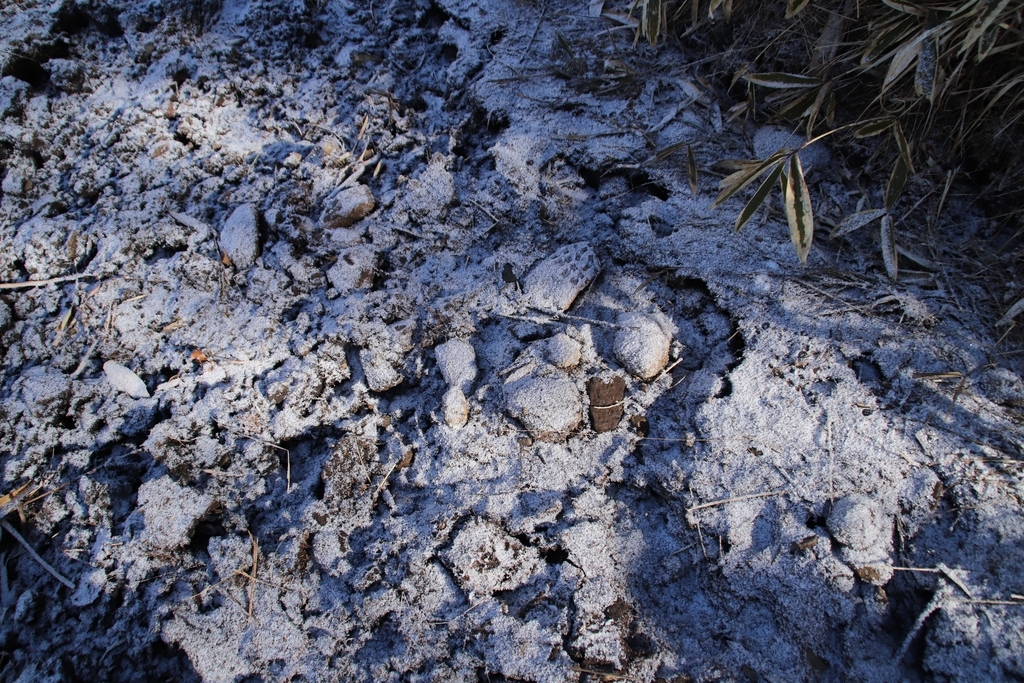 f:id:yamatori0422:20181226203540j:plain