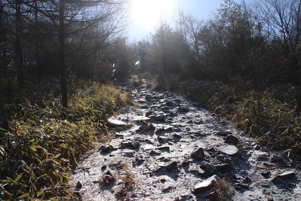 f:id:yamatori0422:20181226204006j:plain