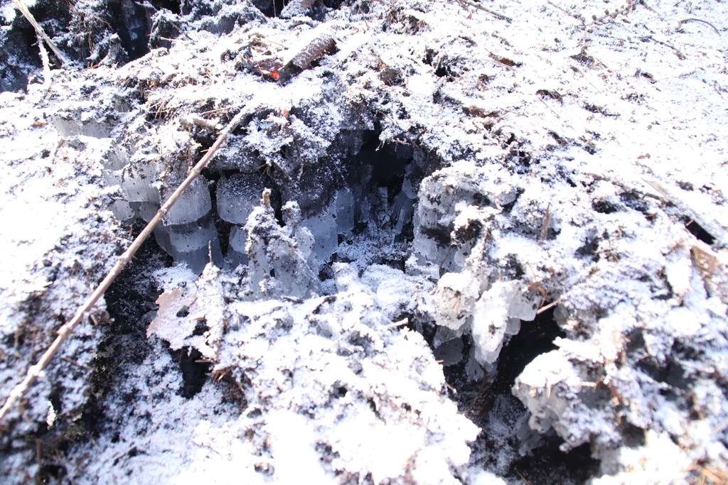 f:id:yamatori0422:20181226204236j:plain