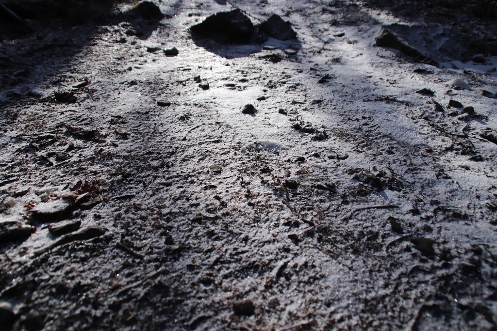 f:id:yamatori0422:20181226204436j:plain