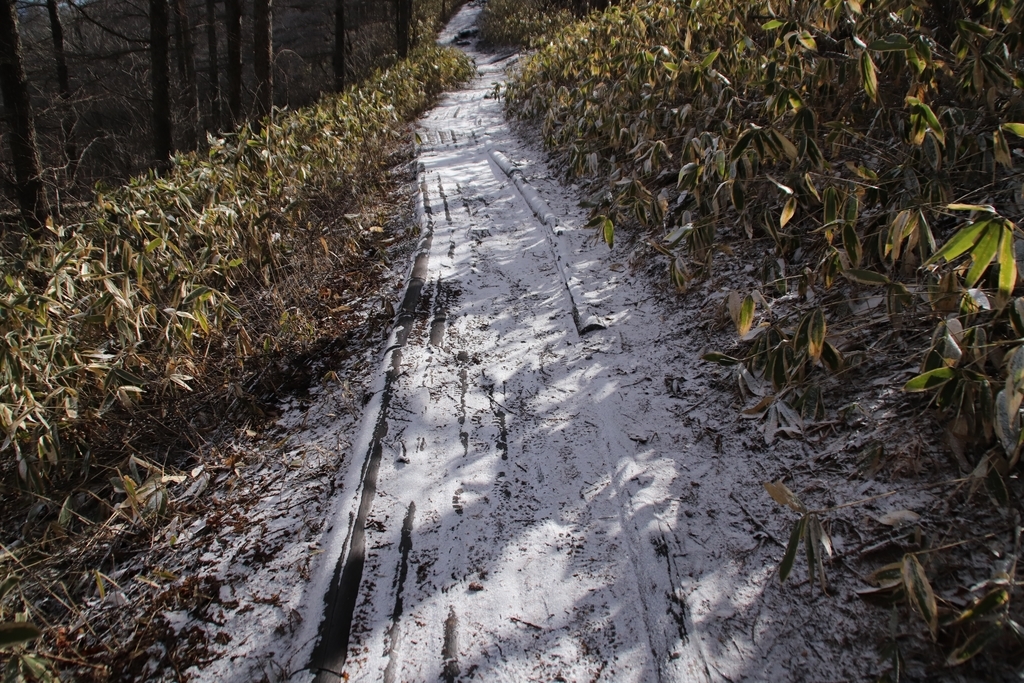 f:id:yamatori0422:20181226204543j:plain