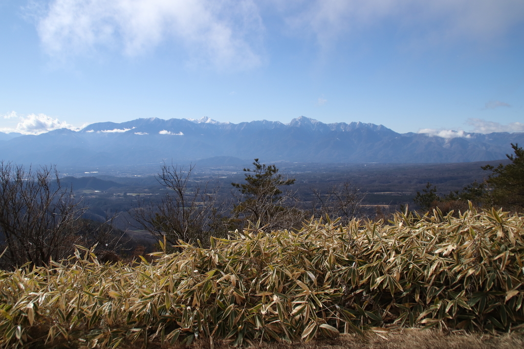 f:id:yamatori0422:20181226205723j:plain