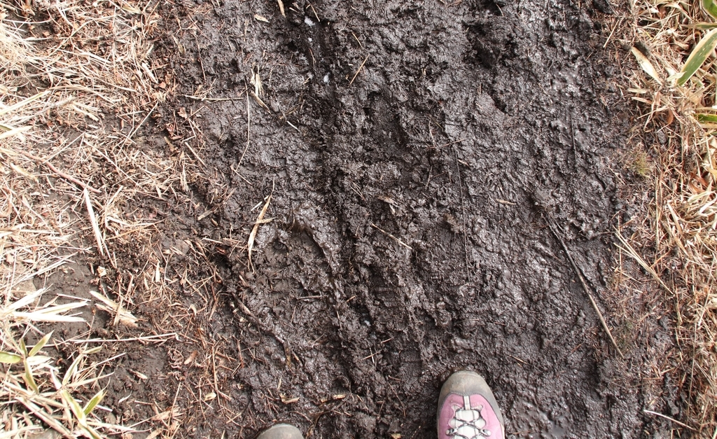 f:id:yamatori0422:20181226210654j:plain