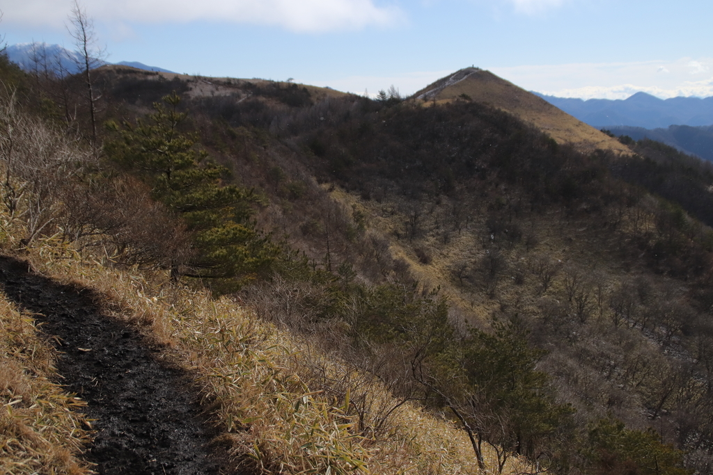 f:id:yamatori0422:20181226211107j:plain