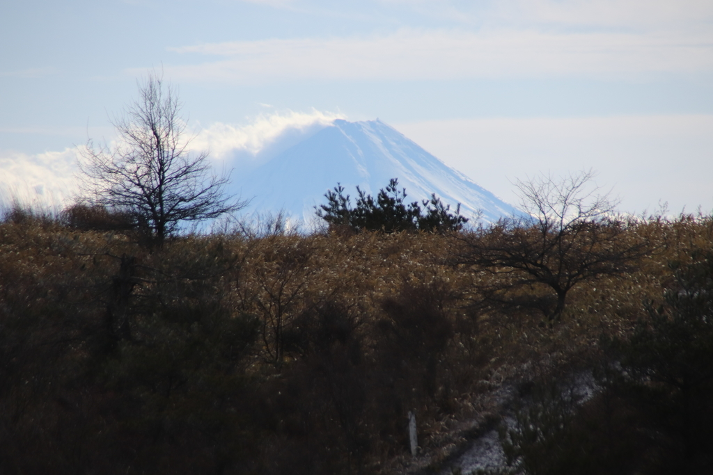 f:id:yamatori0422:20181226211224j:plain