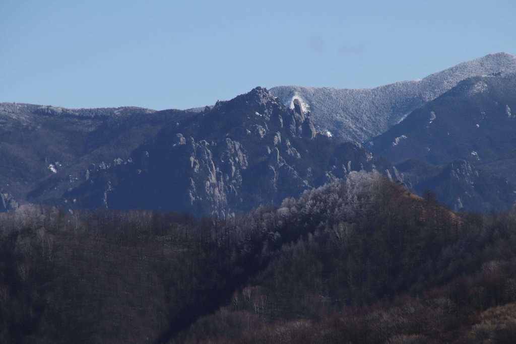 f:id:yamatori0422:20181226213312j:plain