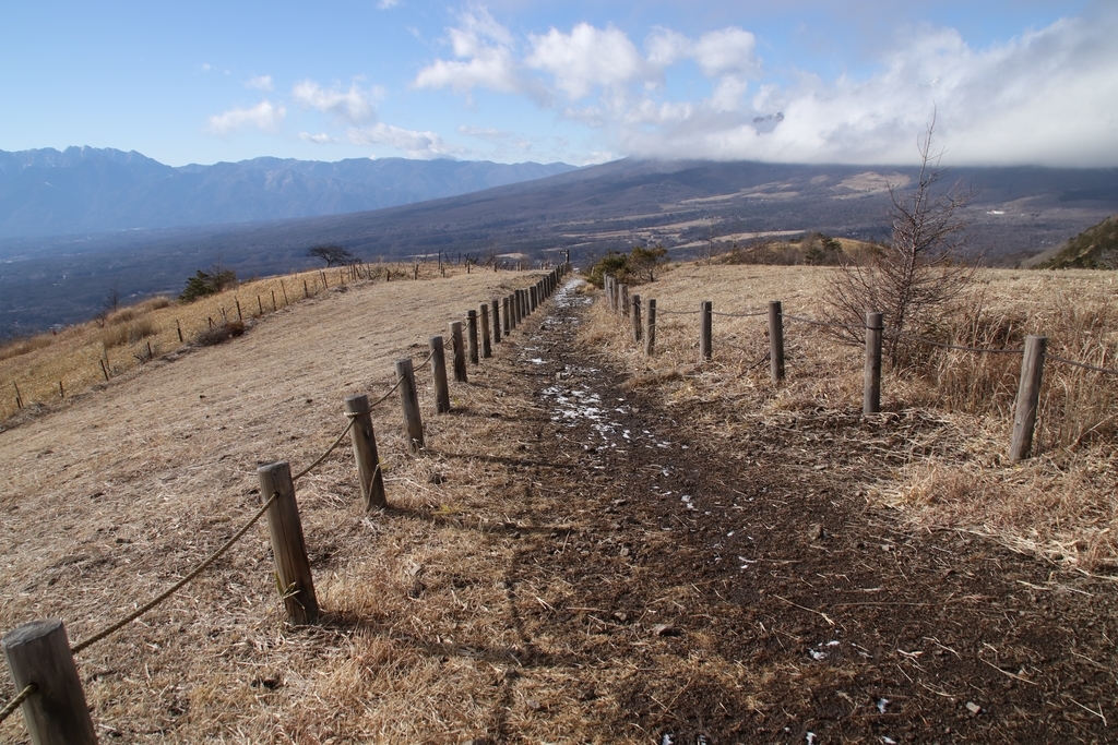 f:id:yamatori0422:20181226213817j:plain