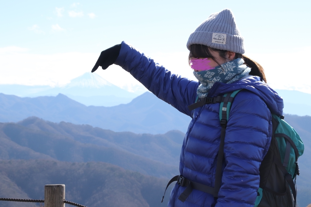 f:id:yamatori0422:20181226214413j:plain