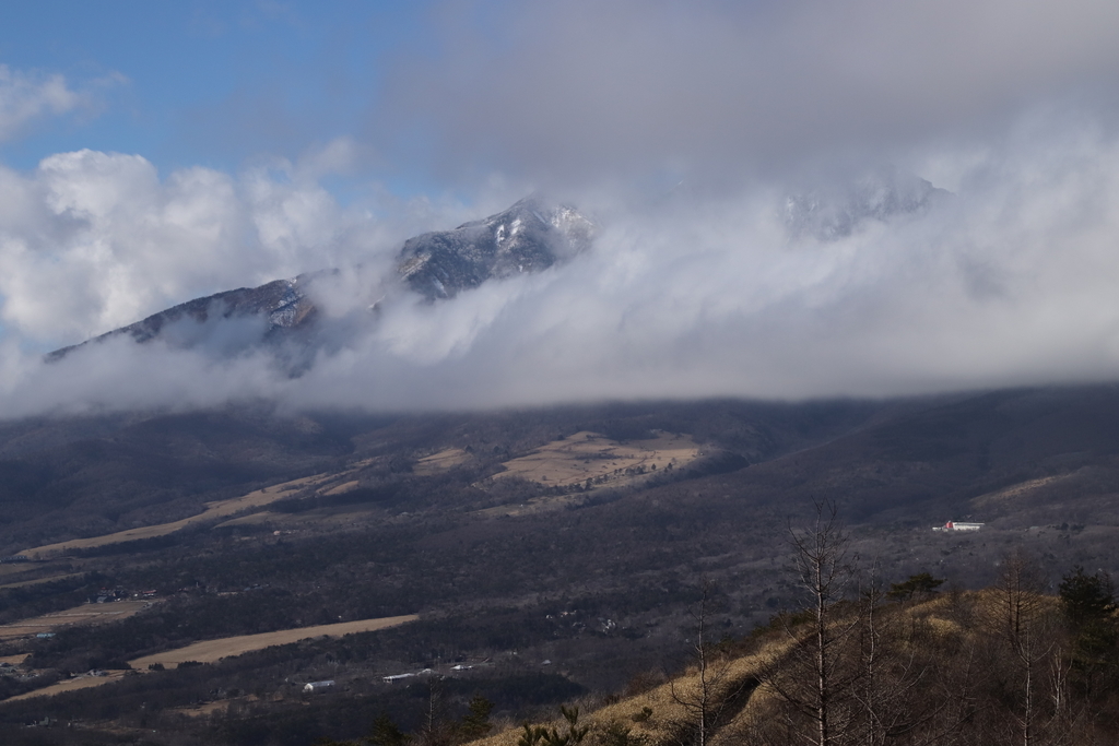 f:id:yamatori0422:20181227163506j:plain