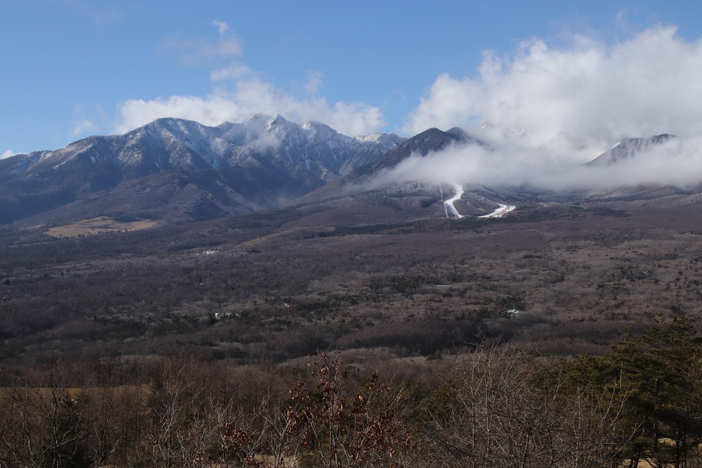 f:id:yamatori0422:20181227164242j:plain