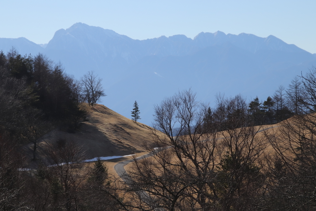 f:id:yamatori0422:20181227171716j:plain