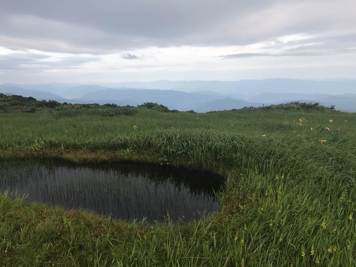f:id:yamatori0422:20190607172005j:plain f:id:yamatori0422:20190607172005j:plain
