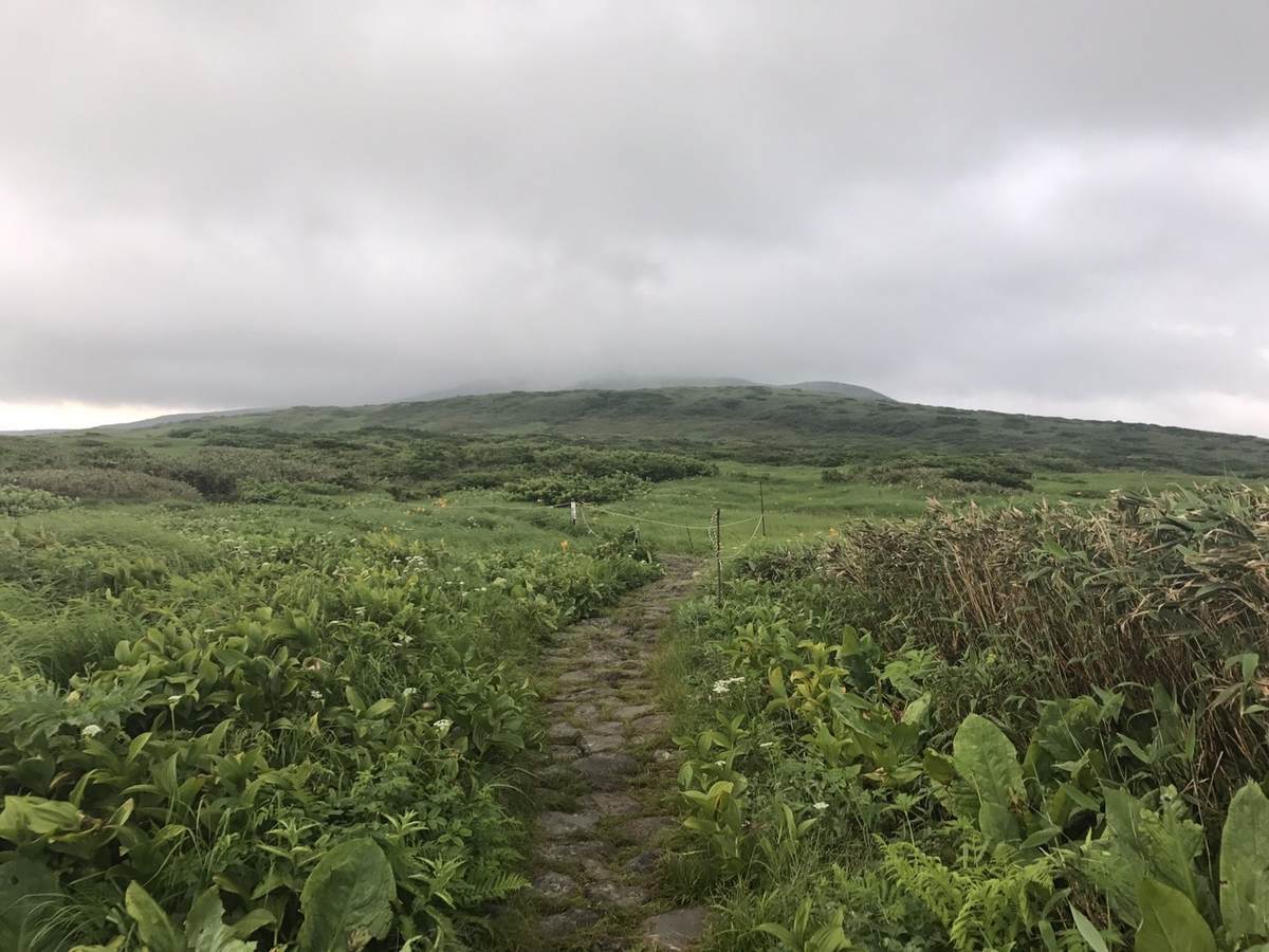 f:id:yamatori0422:20190607172748j:plain f:id:yamatori0422:20190607172748j:plain