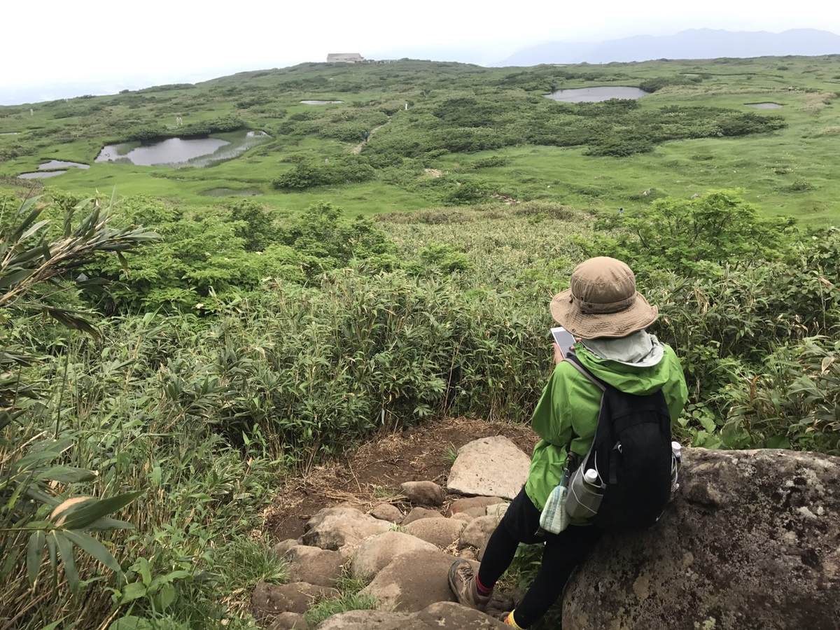 f:id:yamatori0422:20190607172929j:plain f:id:yamatori0422:20190607172929j:plain