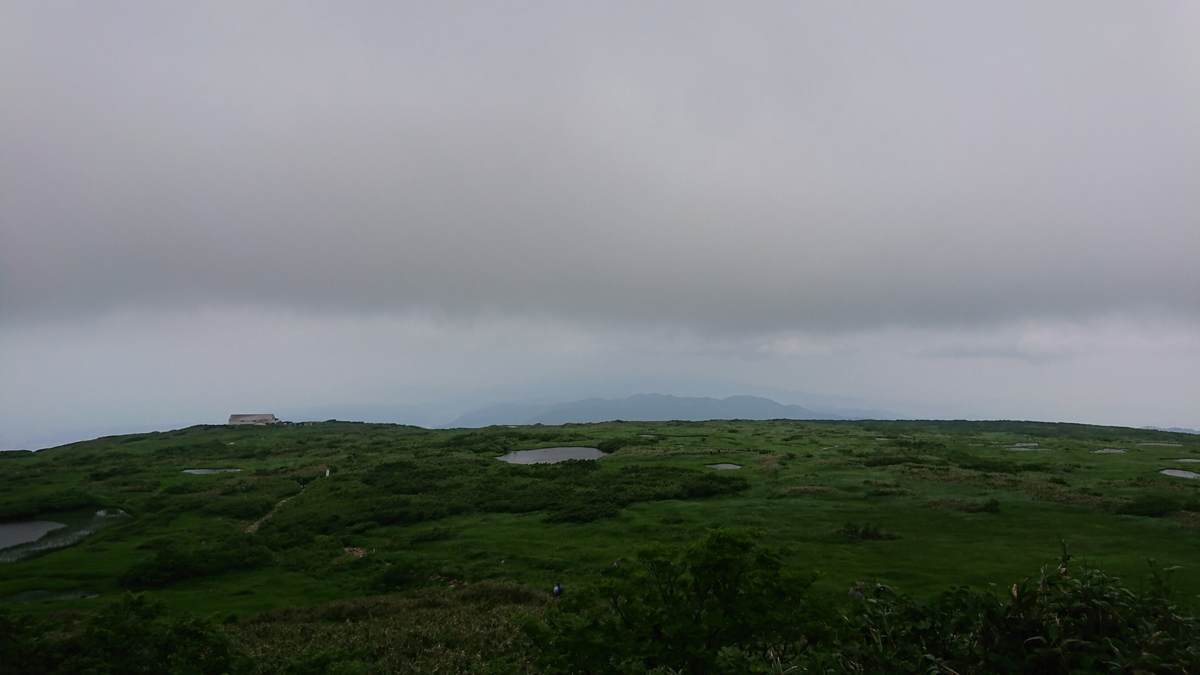 f:id:yamatori0422:20190607173136j:plain f:id:yamatori0422:20190607173136j:plain