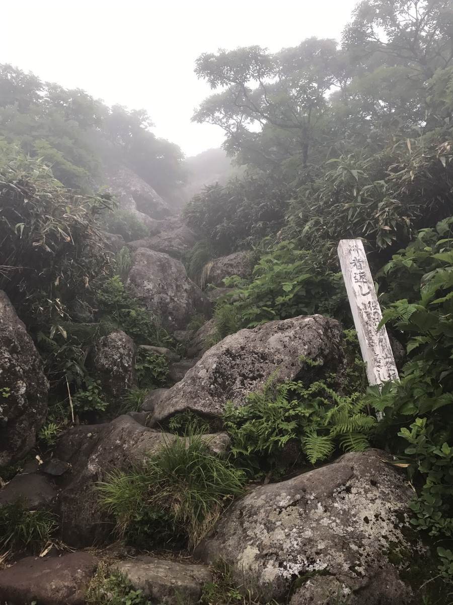 f:id:yamatori0422:20190607175828j:plain f:id:yamatori0422:20190607175828j:plain