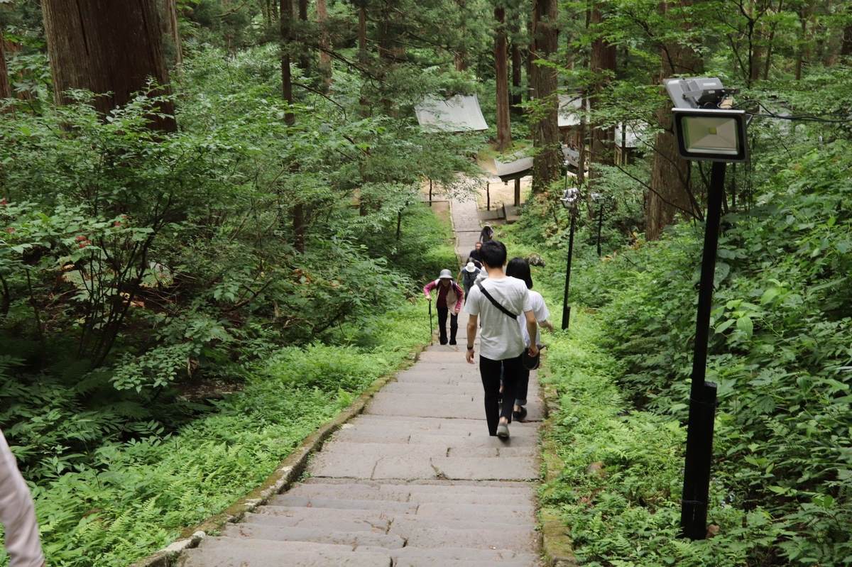 f:id:yamatori0422:20190607200734j:plain f:id:yamatori0422:20190607200734j:plain