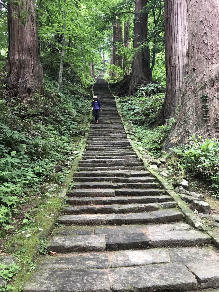 f:id:yamatori0422:20190607215222j:plain f:id:yamatori0422:20190607215222j:plain