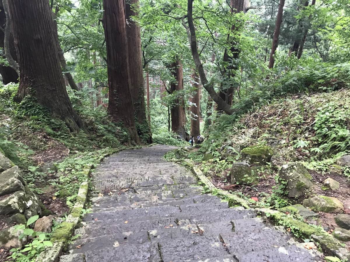 f:id:yamatori0422:20190607215749j:plain f:id:yamatori0422:20190607215749j:plain