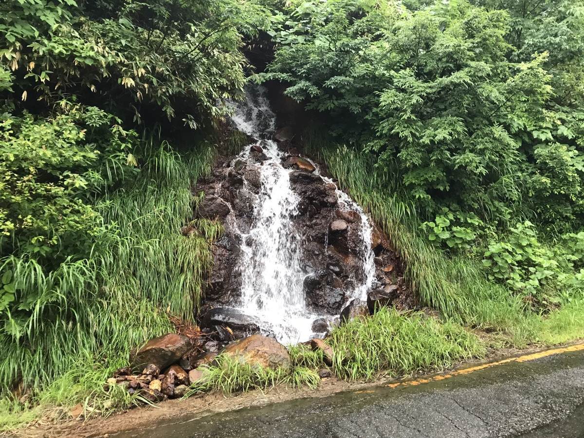 f:id:yamatori0422:20190608103832j:plain f:id:yamatori0422:20190608103832j:plain