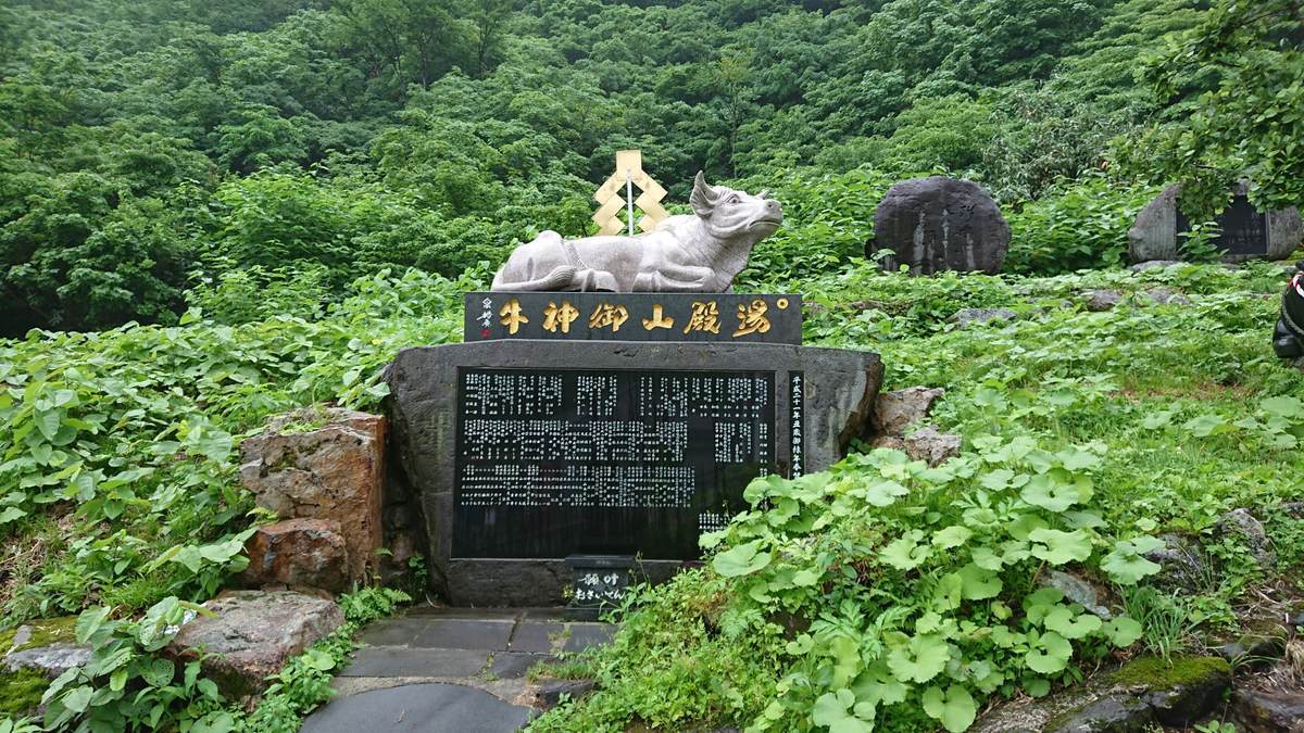 f:id:yamatori0422:20190608104406j:plain f:id:yamatori0422:20190608104406j:plain